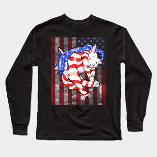 Cat American Flag Usa Paws Patriotic 4th Of July Long Sleeve T-Shirt